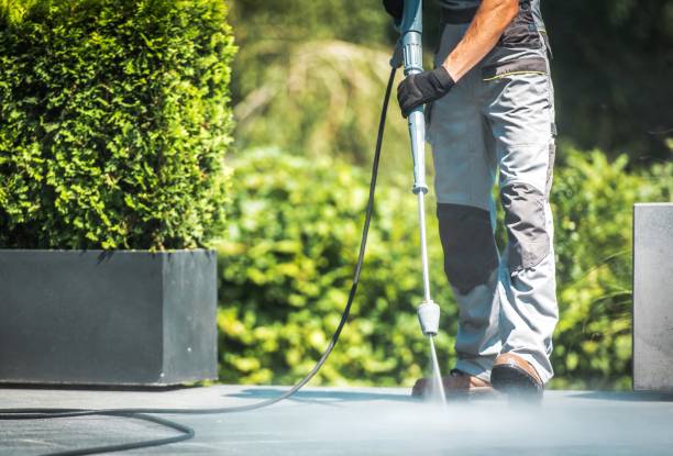 Best Solar Panel Cleaning  in Taylors Falls, MN