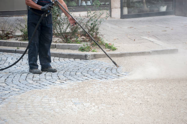 Best Dumpster Area Cleaning  in Taylors Falls, MN