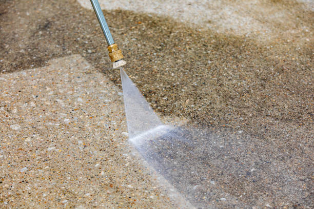 Best Driveway Pressure Washing  in Taylors Falls, MN